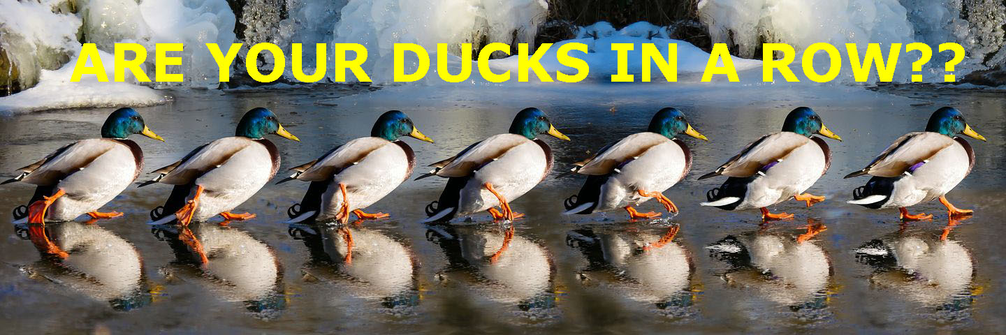 ducks-in-a-row-how-we-learned-to-do-it-all-stop-the-thyroid-madness