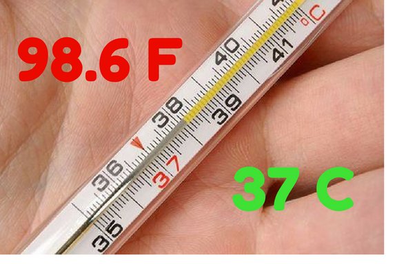 Body Temperature Reading Chart