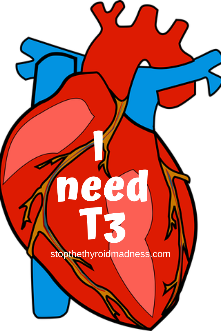 a-healthy-heart-happens-with-t3-in-the-mix-report-both-patients-and