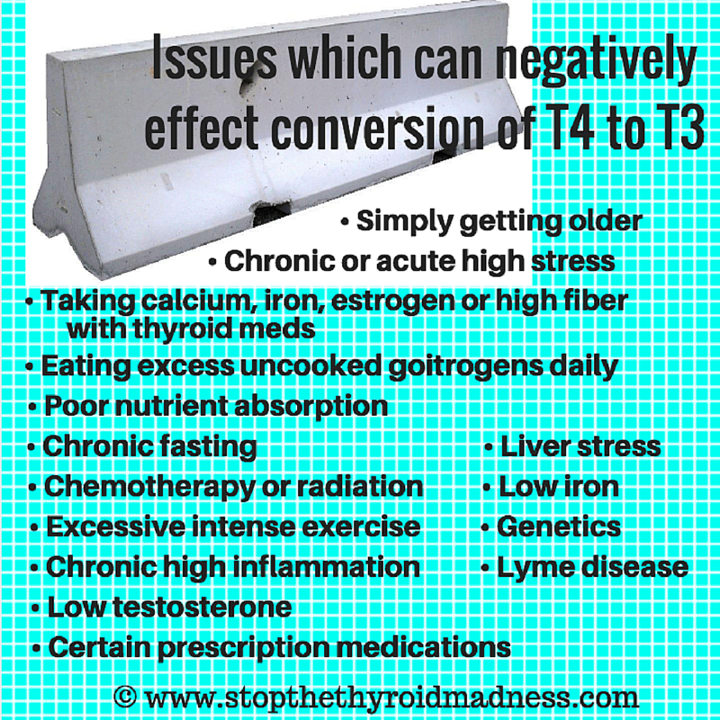 Thyroid Conversion Process